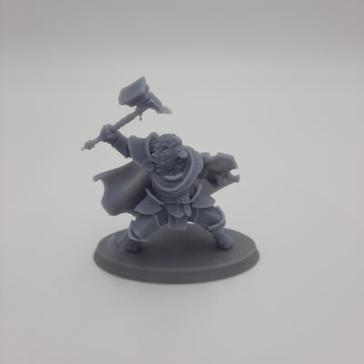 Necromancer - Gray/Unpainted