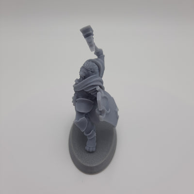 Necromancer - Gray/Unpainted