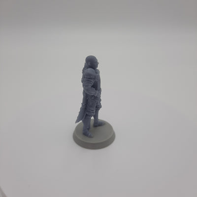 Figurine miniature - Capitaine de la Garde - DnD - Gris/Non peint