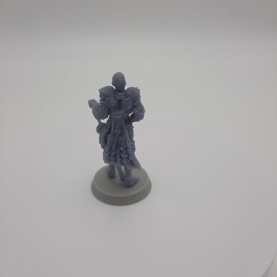 Figurine miniature - Capitaine de la Garde - DnD - Gris/Non peint
