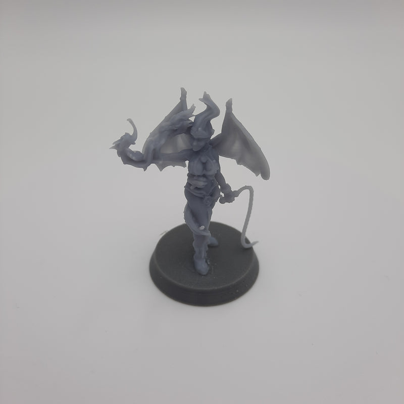 Figurine miniature - Entraîneuse de Dragon - DnD- Gris/Non peint