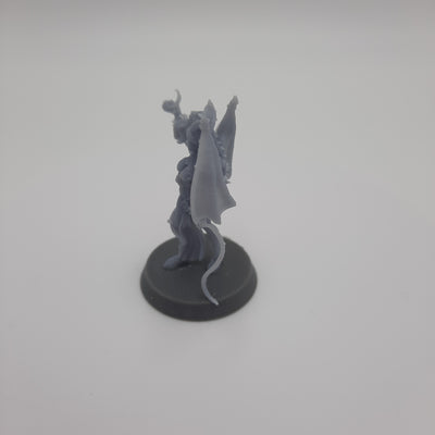 Figurine miniature - Entraîneuse de Dragon - DnD- Gris/Non peint