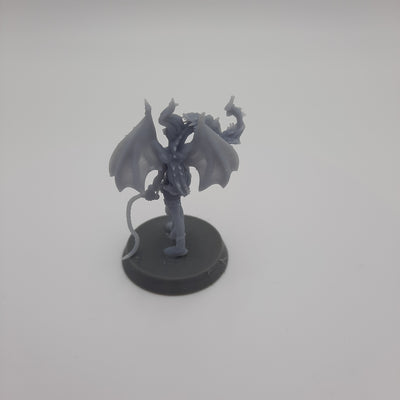 Figurine miniature - Entraîneuse de Dragon - DnD- Gris/Non peint