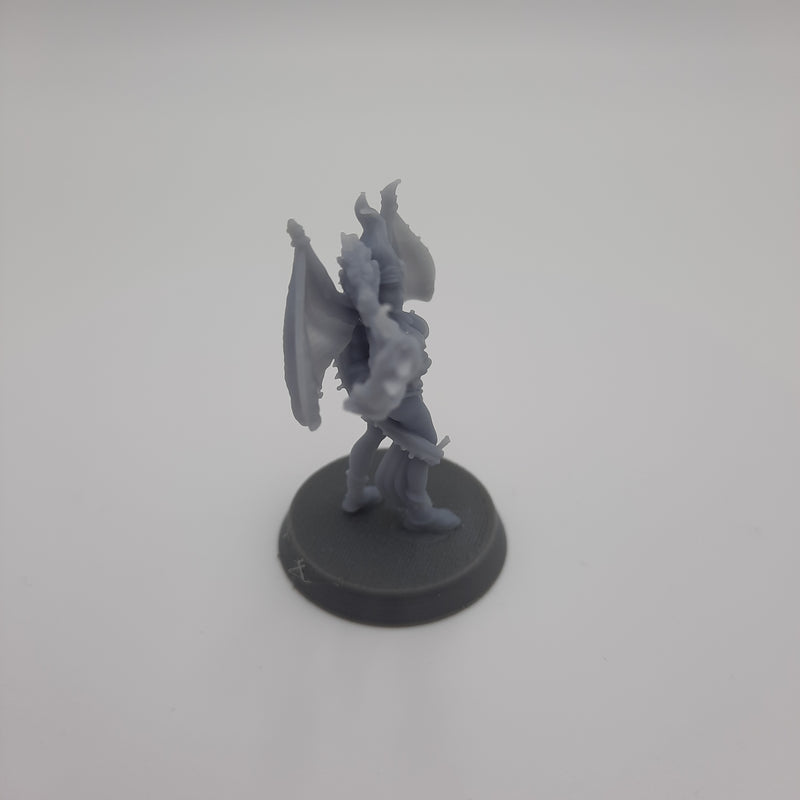 Figurine miniature - Entraîneuse de Dragon - DnD- Gris/Non peint