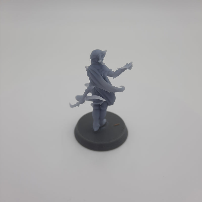 Miniature figurine - Tormentress - DnD -Grey/Unpainted