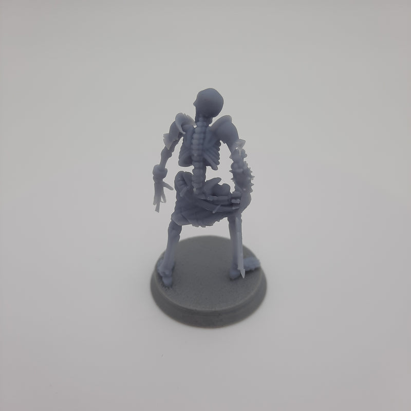 Squelette (3 modèles) - Gris/Non peint