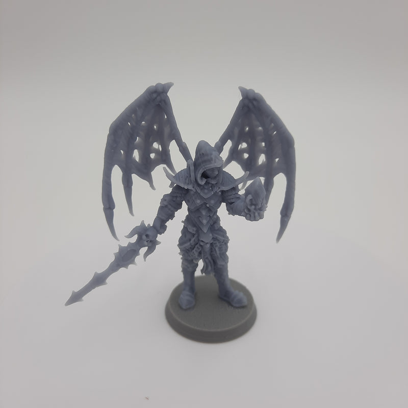 Figurine miniature - Aasimar déchue (Fallen Aasimar) - DnD - Gris/Non peint - Résine/PLA