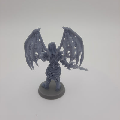 Figurine miniature - Aasimar déchue (Fallen Aasimar) - DnD - Gris/Non peint - Résine/PLA