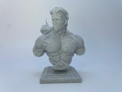 Buste de Conan - ÉDITION LIMITÉE